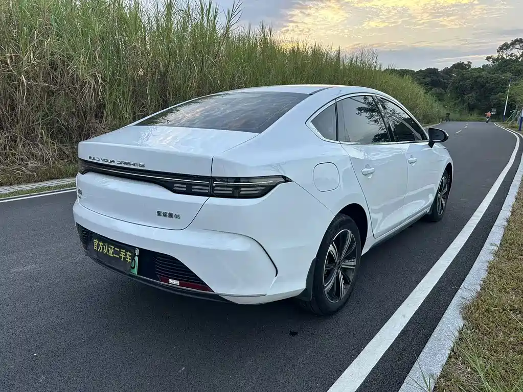 BYD Destroyer 05 — миниатюра 7