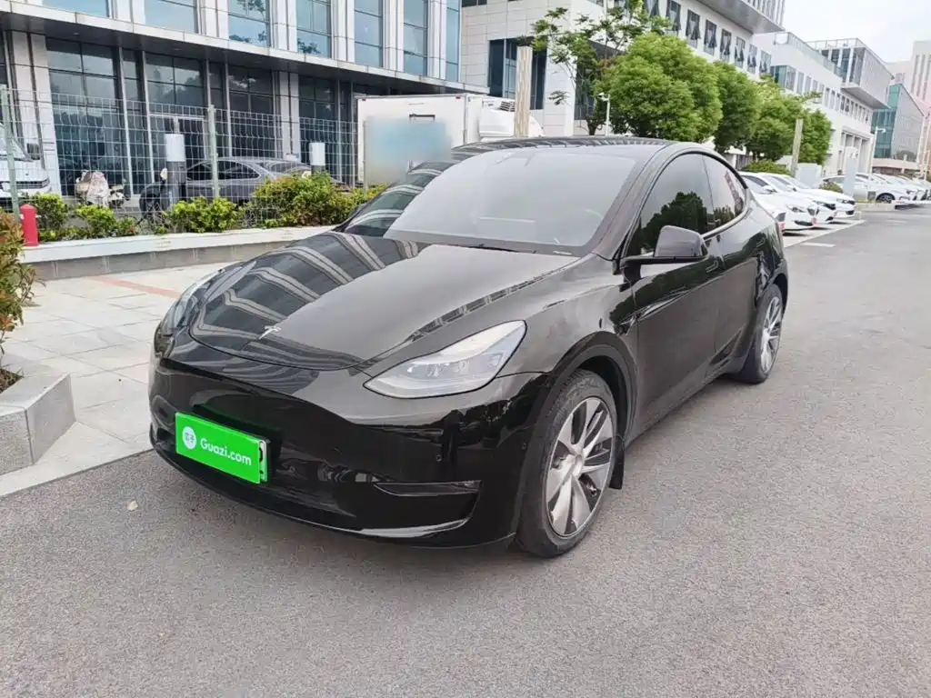 Tesla Model Y — миниатюра 2
