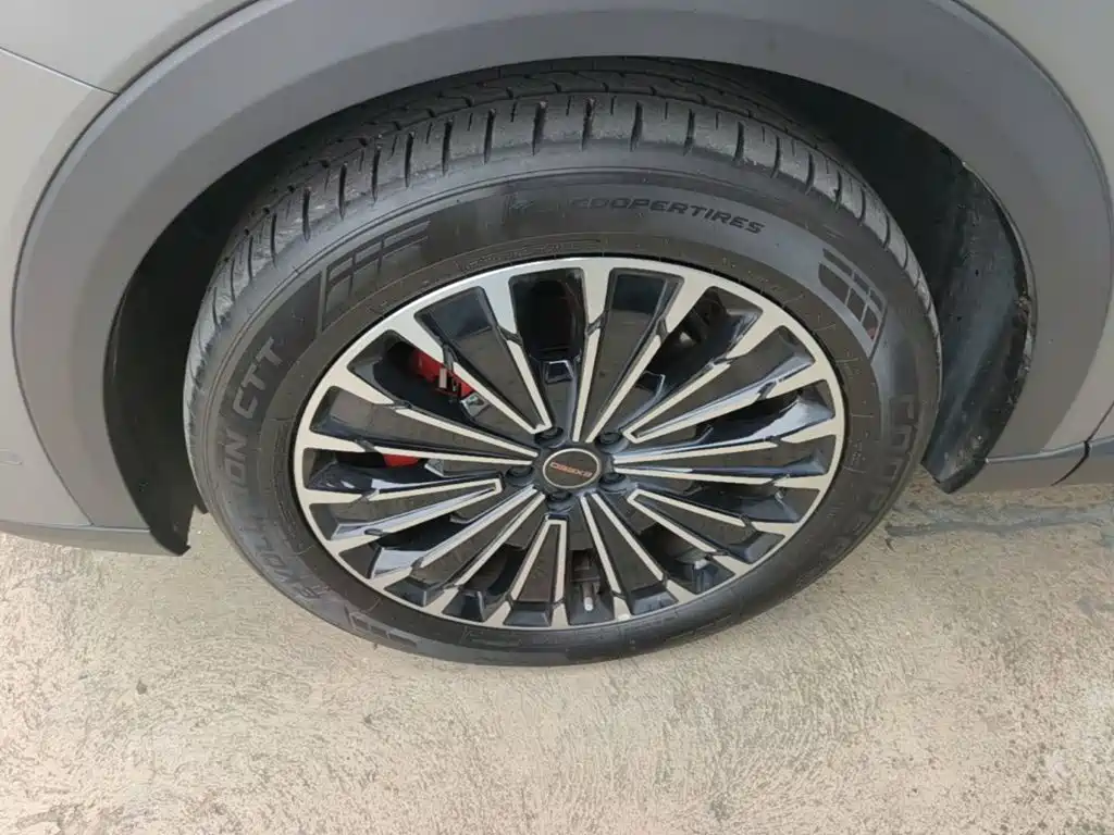 Exeed Yaoguang C-DM — миниатюра 23