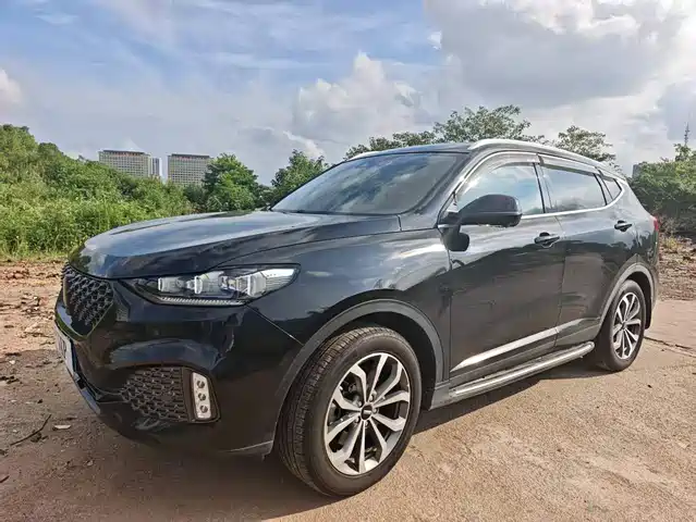 2019 Wey VV6