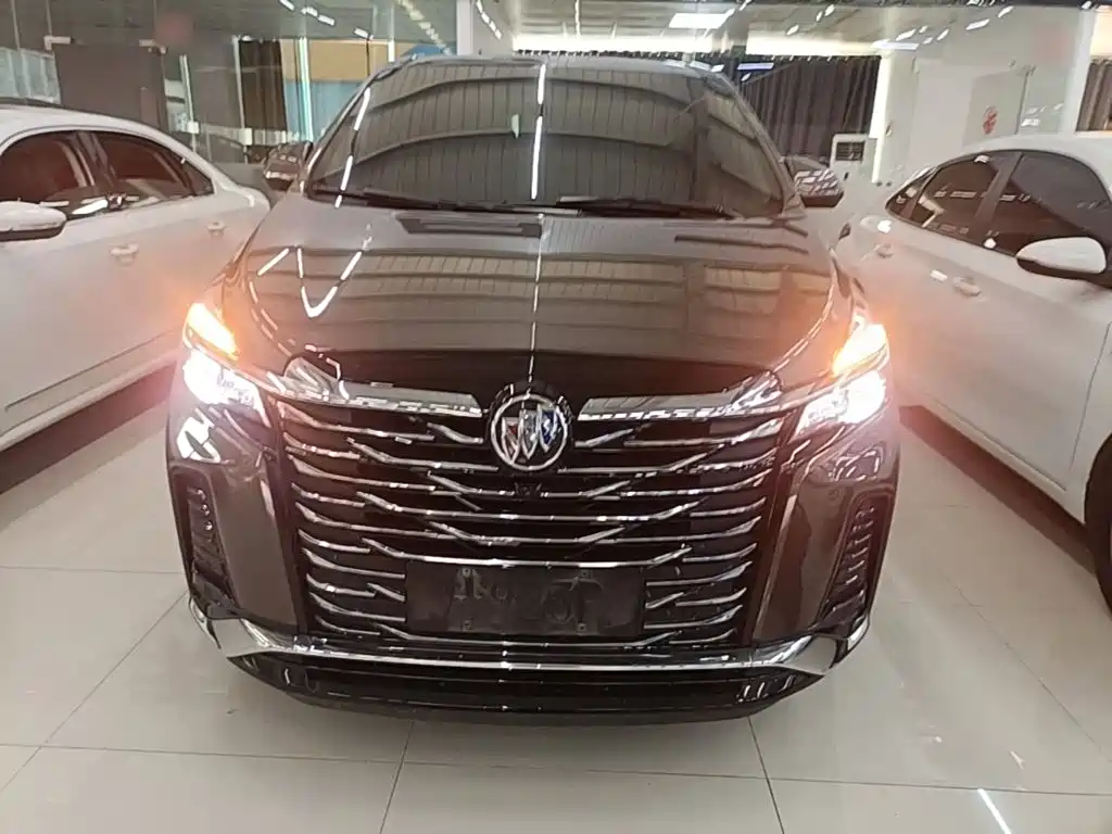 Buick GL8 — миниатюра 3