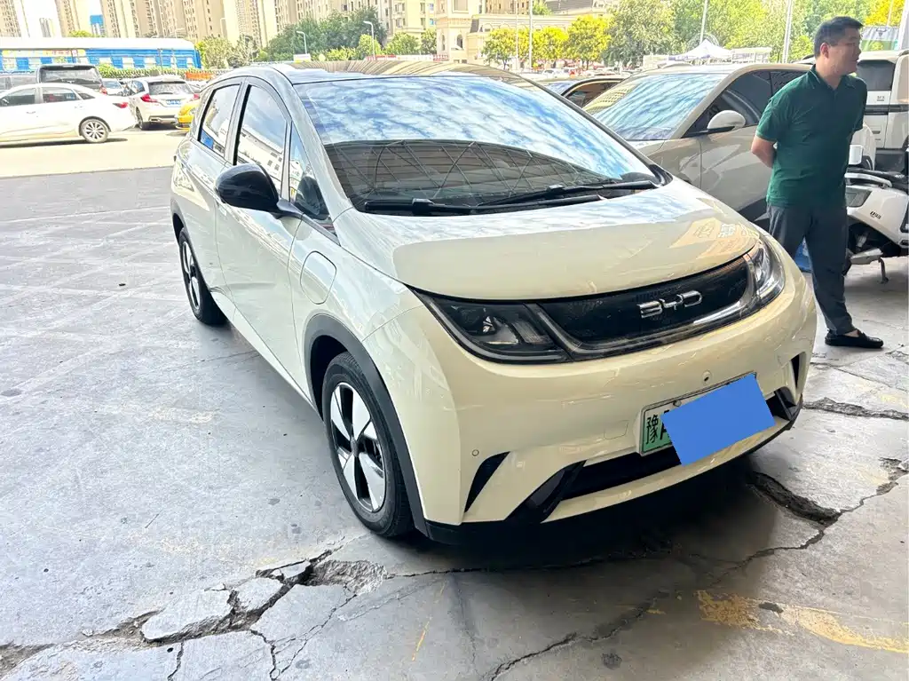 BYD Dolphin — миниатюра 10