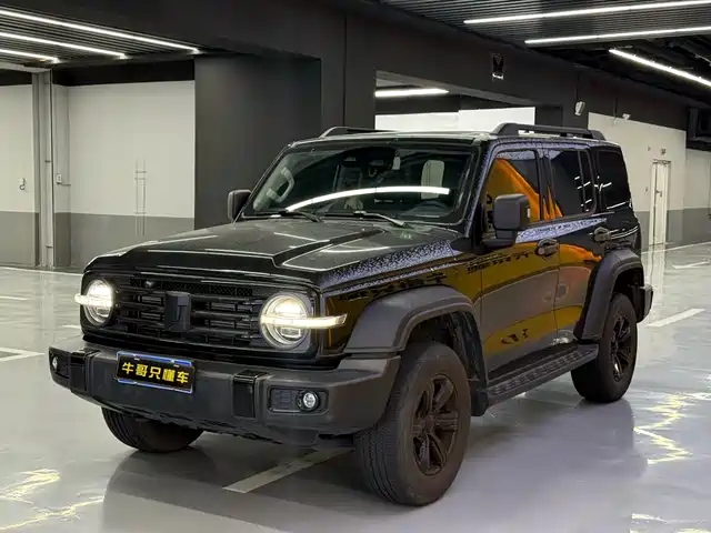 2024 TANK 300