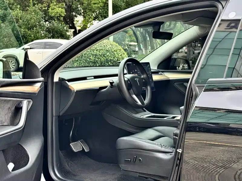 Tesla Model Y — миниатюра 3