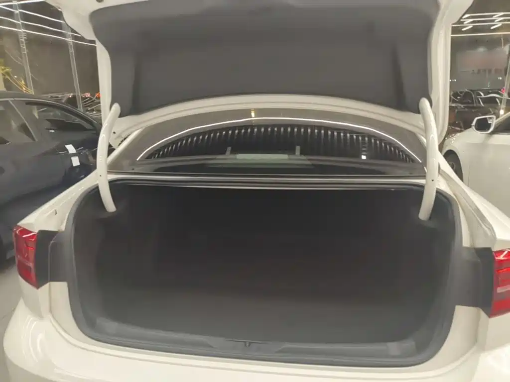 Volkswagen Lamando — миниатюра 19
