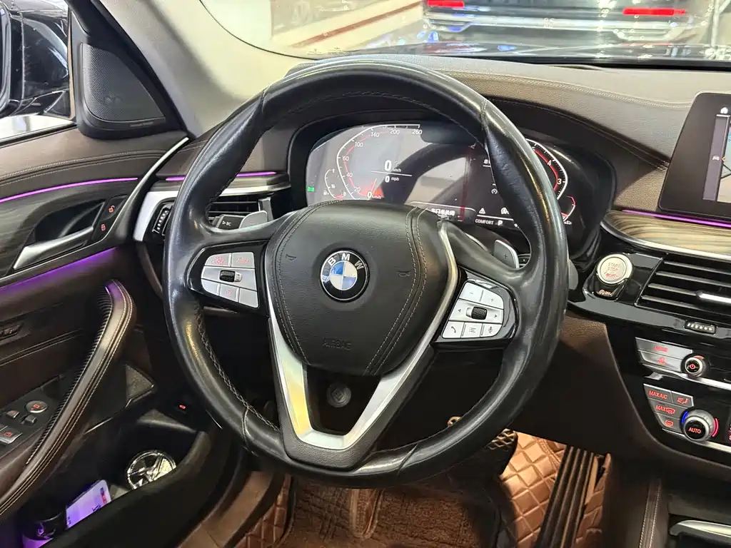 BMW 5 Series 5 2020 530Li Premium Luxury