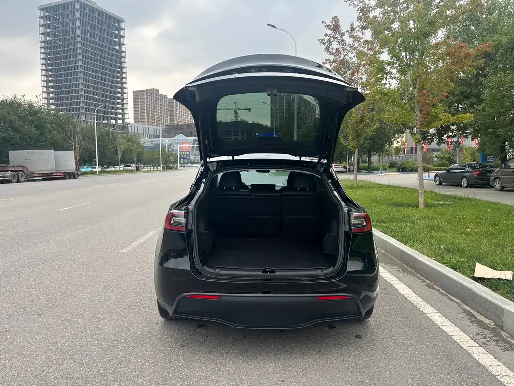 Tesla Model Y — миниатюра 18