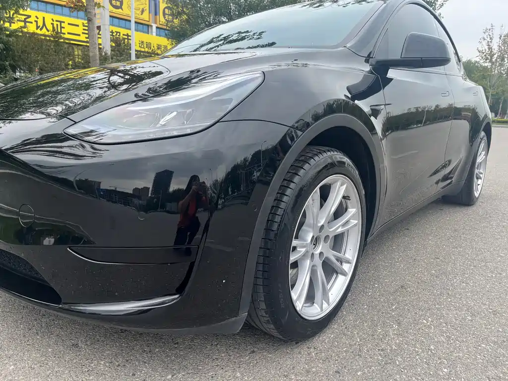 Tesla Model Y — миниатюра 4