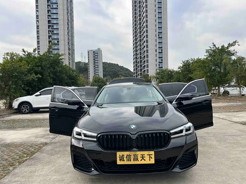 BMW 5 Series 5 2019 530Li Lead Luxury
