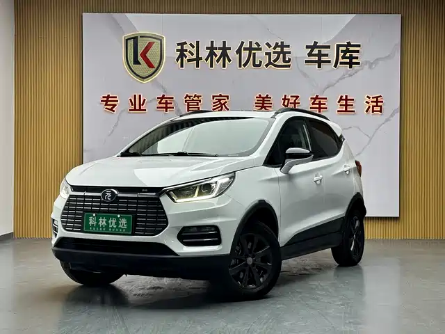BYD YUANXIN ENERGY 2019