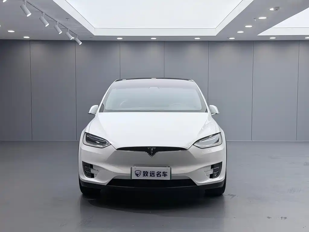Tesla Model X — миниатюра 2