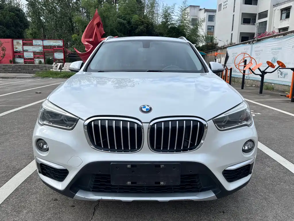 BMW X1 — миниатюра 2