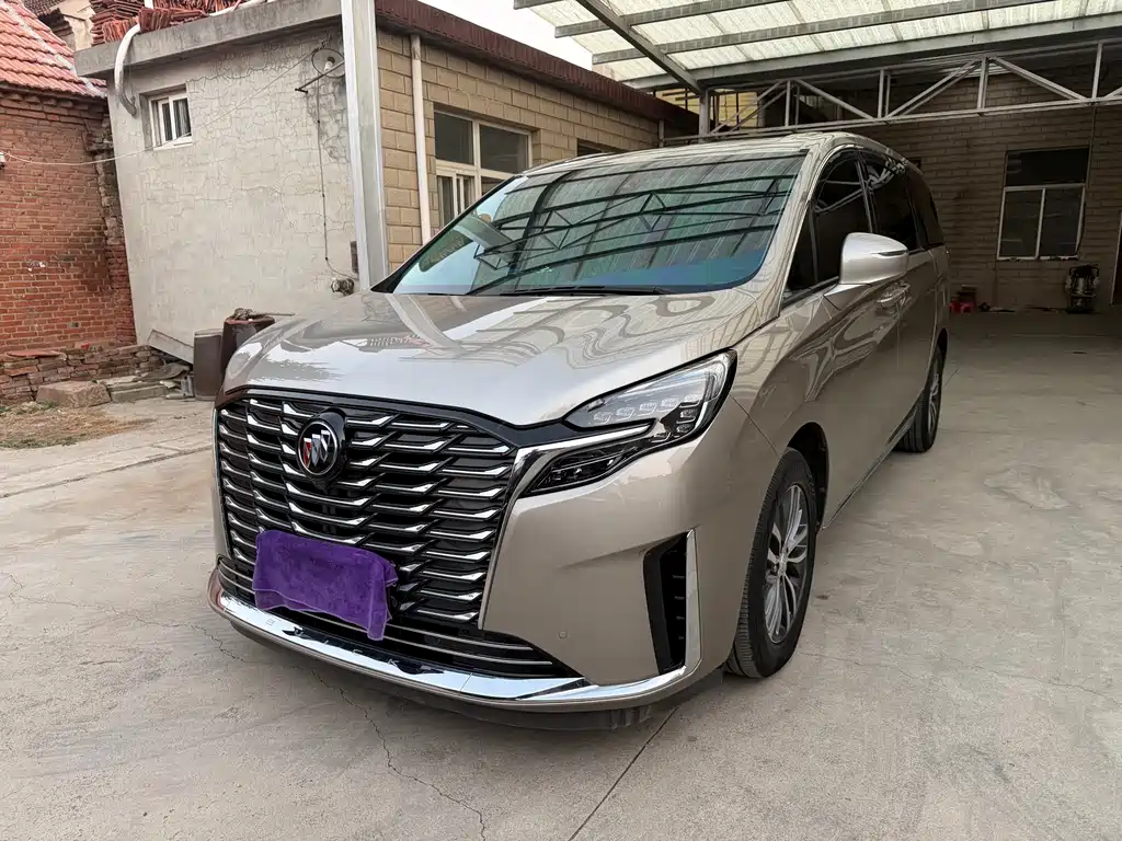 Buick GL8 — миниатюра 3