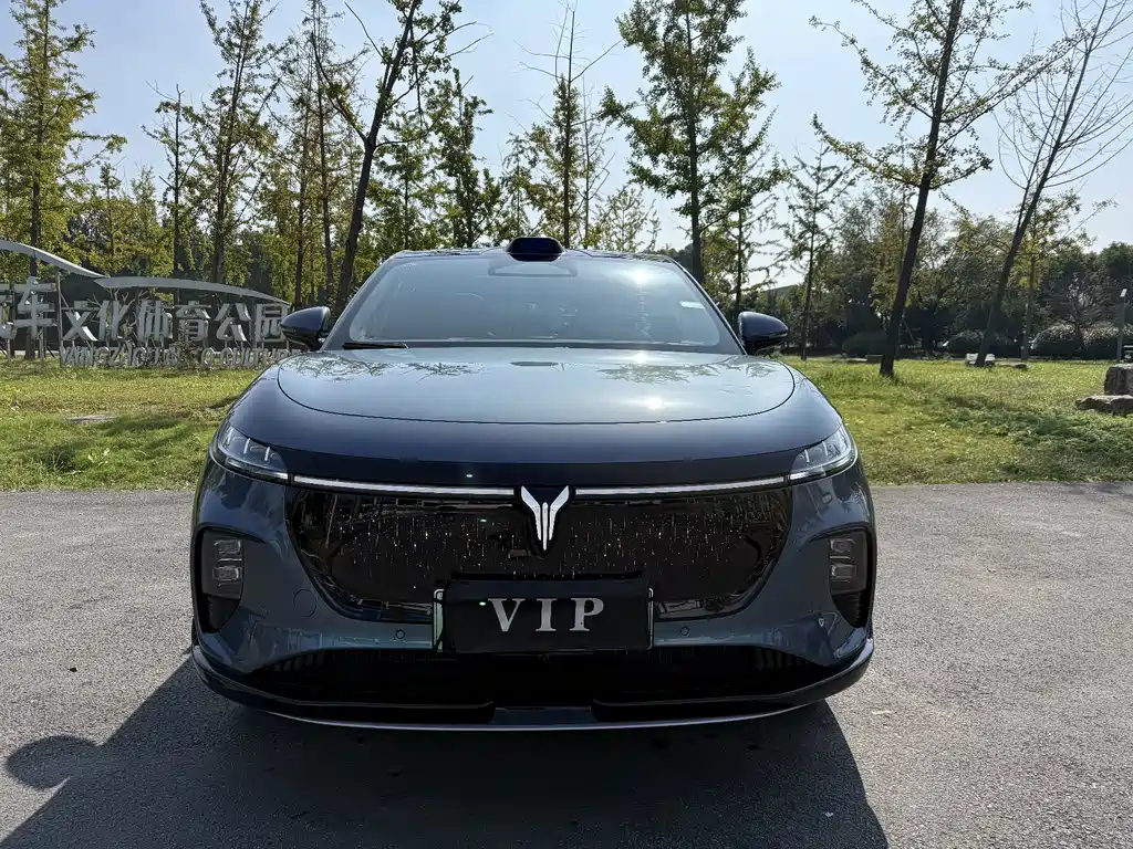 VOYAH Zhiyin