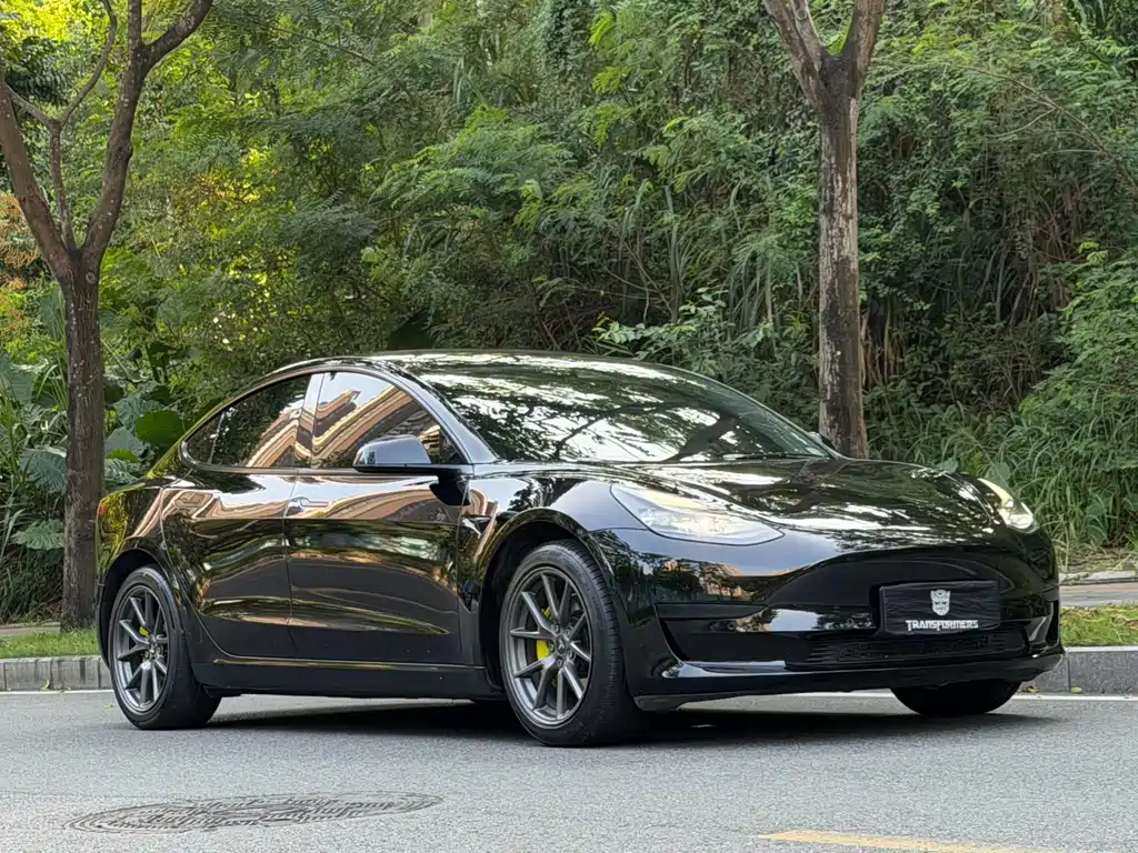 Tesla Model 3 — миниатюра 3