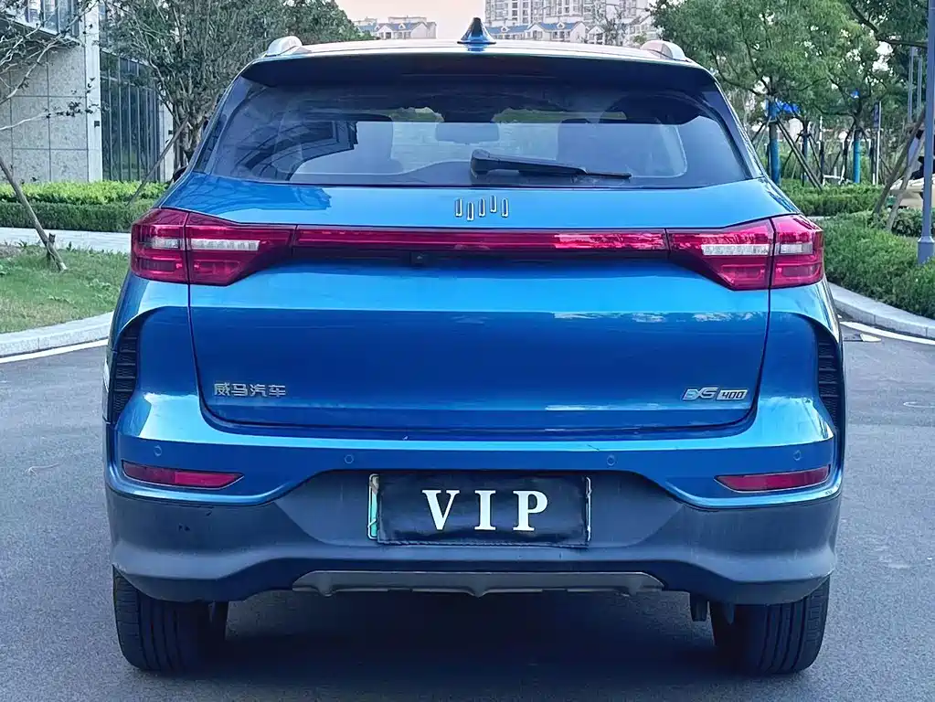 WM Motor EX5 — миниатюра 10