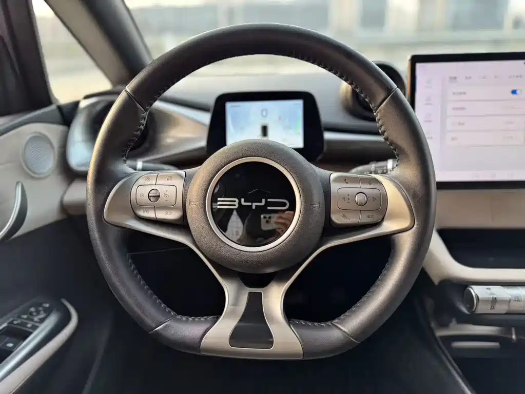 BYD Dolphin — миниатюра 15