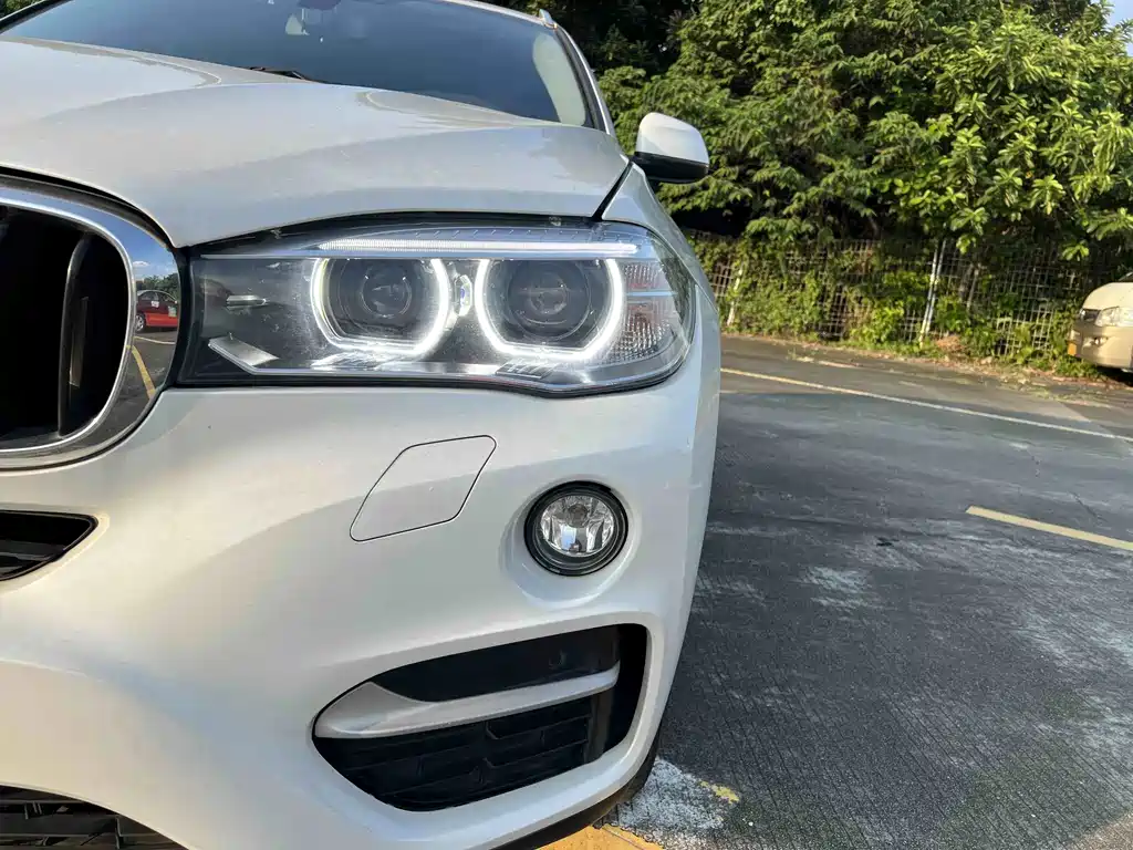 BMW X6 — миниатюра 7