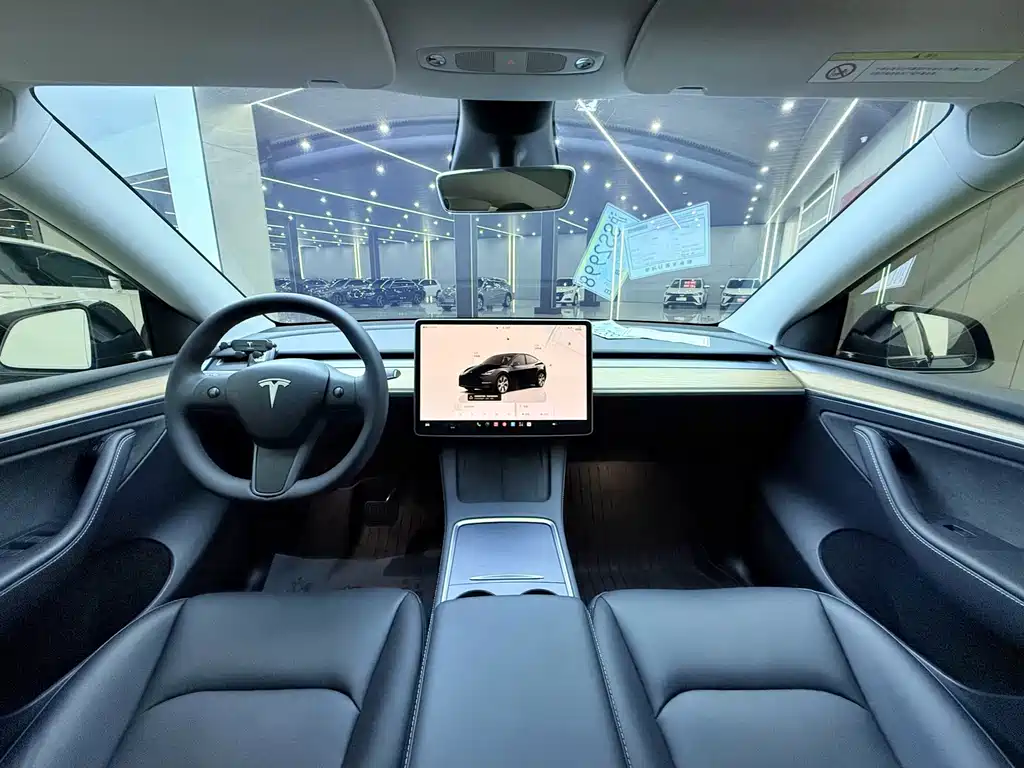 Tesla Model Y — миниатюра 12
