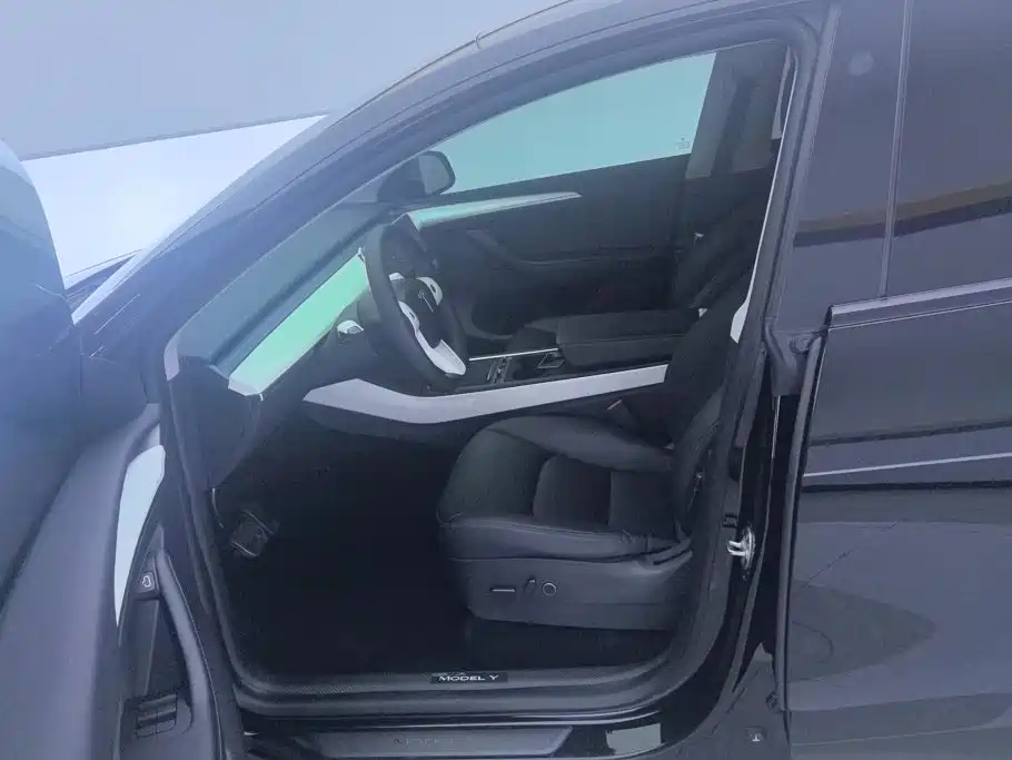 Tesla Model Y — миниатюра 9