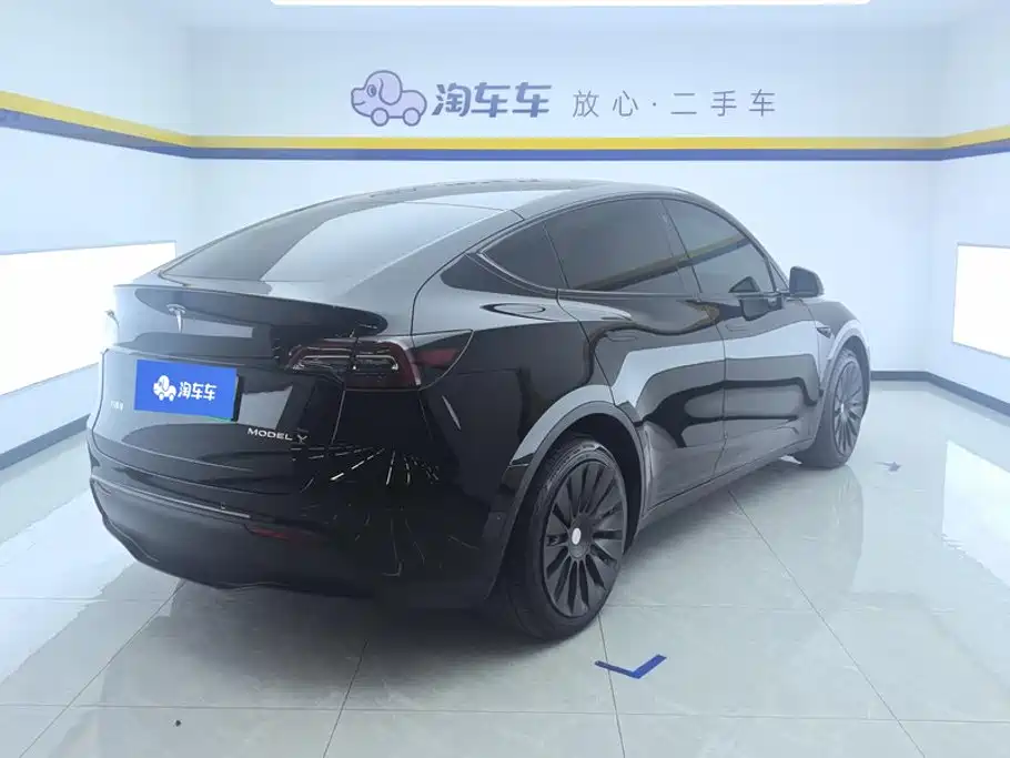 Tesla Model Y — миниатюра 3