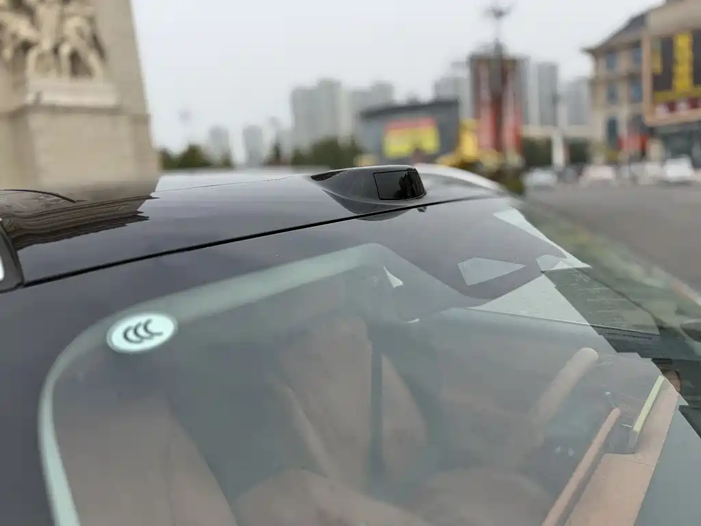 WEI PAI WEI BRAND BLUE MOUNTAIN