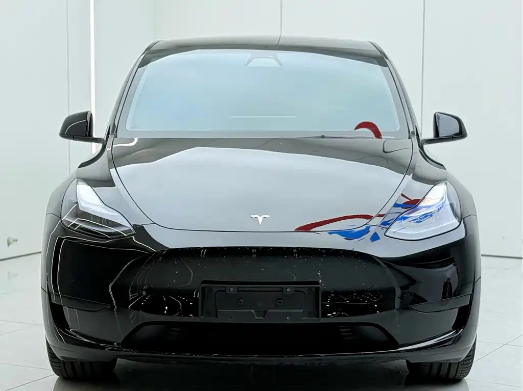 Tesla Model Y — миниатюра 3