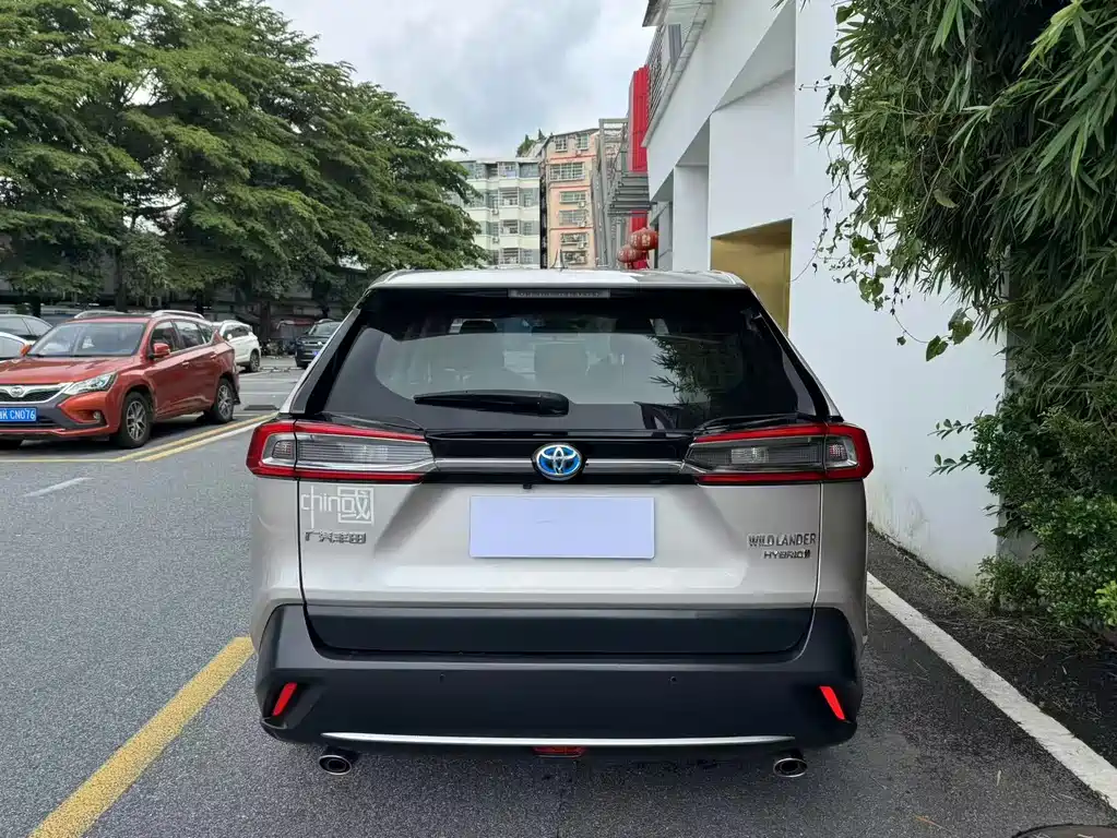 Toyota Wildlander 2020 2.5L E-CVT Luxury
