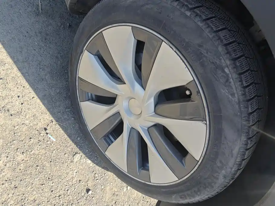 Tesla Model Y — миниатюра 6