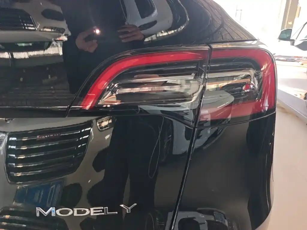 Tesla Model Y — миниатюра 8