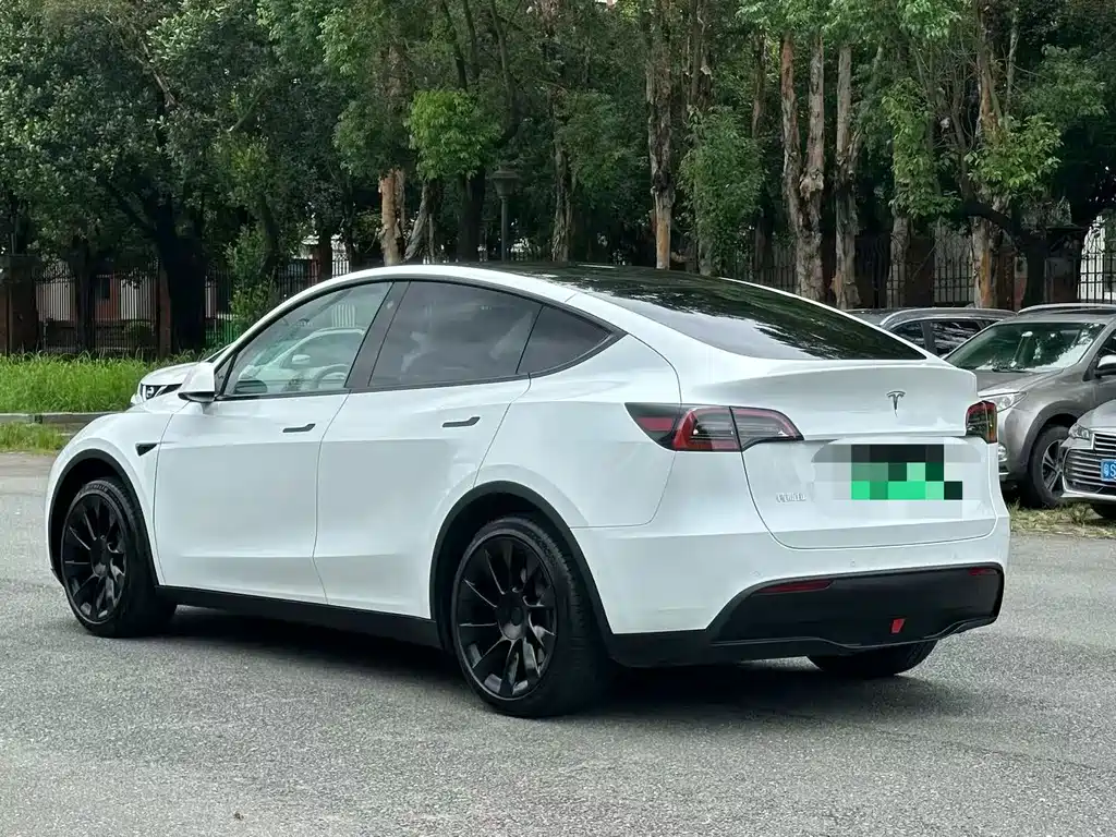 Tesla Model Y — миниатюра 7