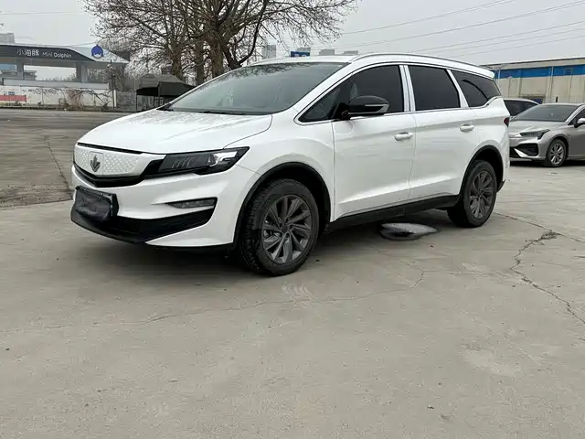 RUILAN AUTOMOBILE MAPLE LEAF 80V PRO 2024