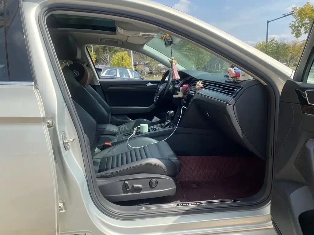 Volkswagen Magotan 2019 330TSI DSG Luxury VI