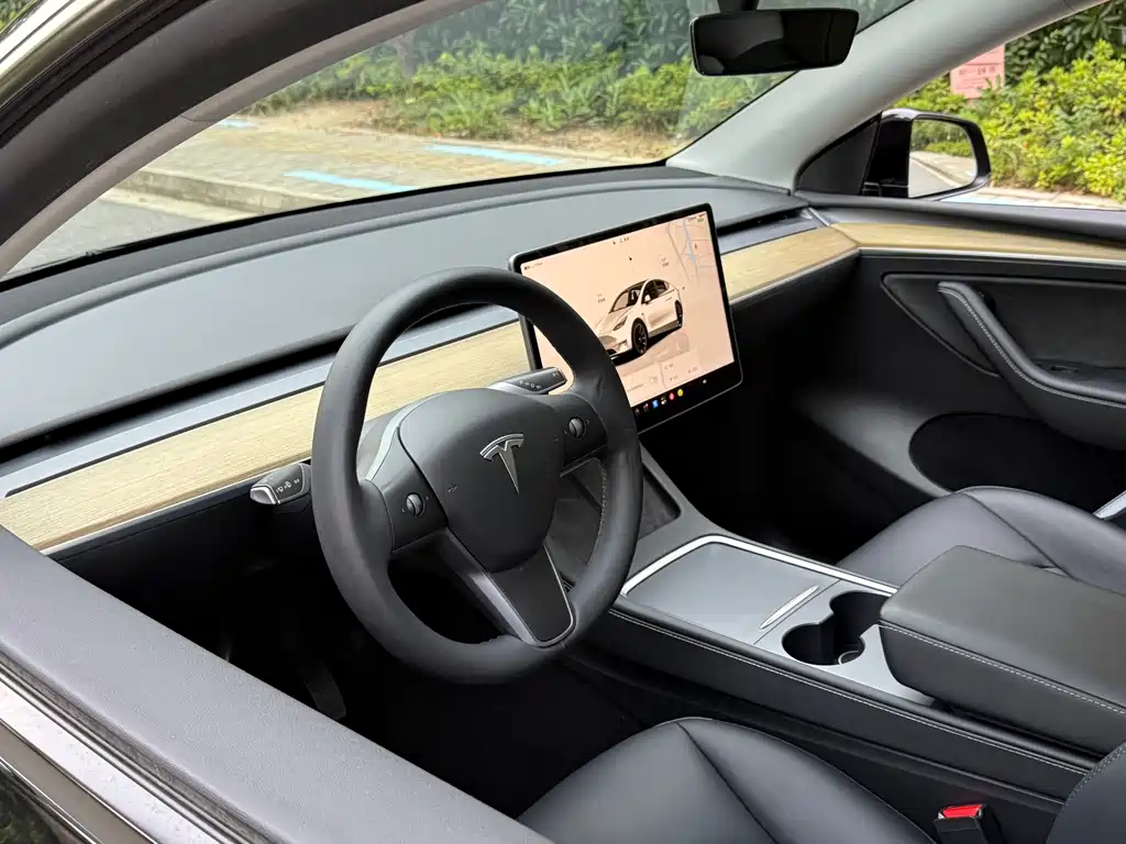 Tesla Model Y — миниатюра 17