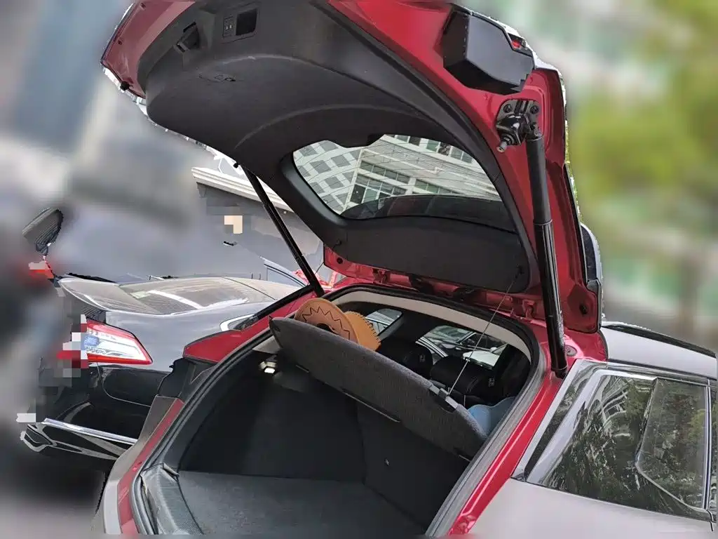 BYD Pro New Energy — миниатюра 20