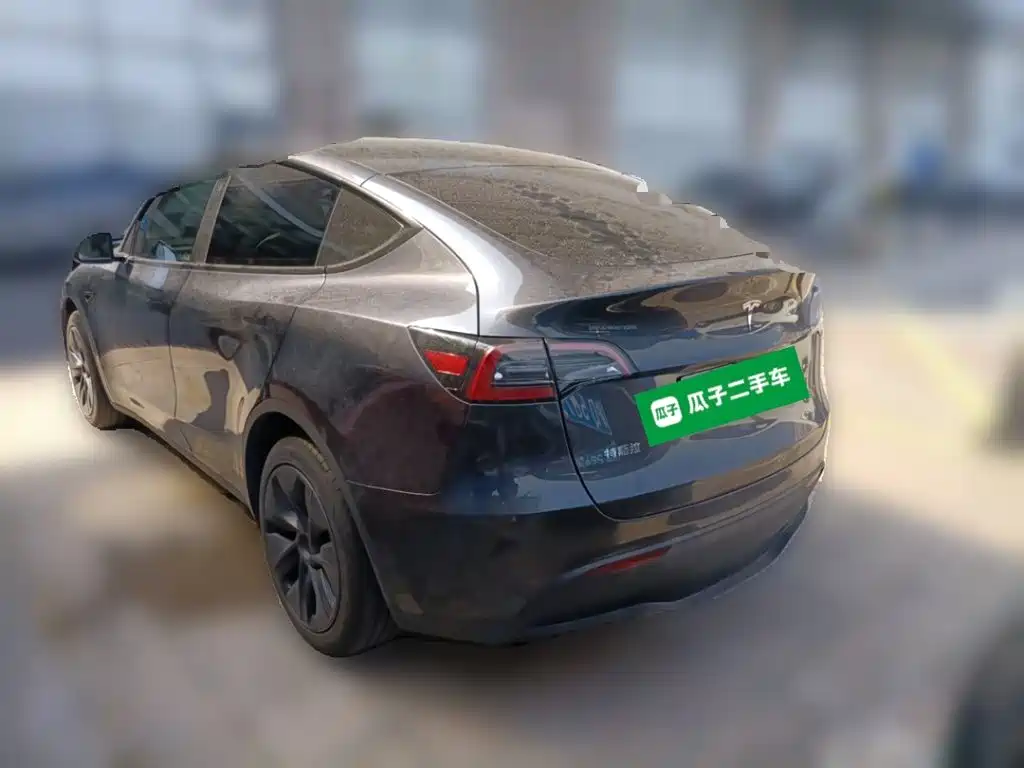 Tesla Model Y — миниатюра 4