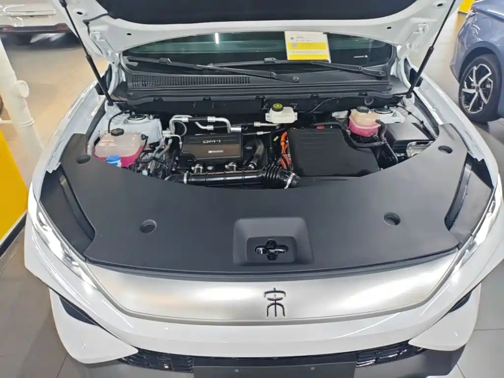 BYD Pro New Energy — миниатюра 20