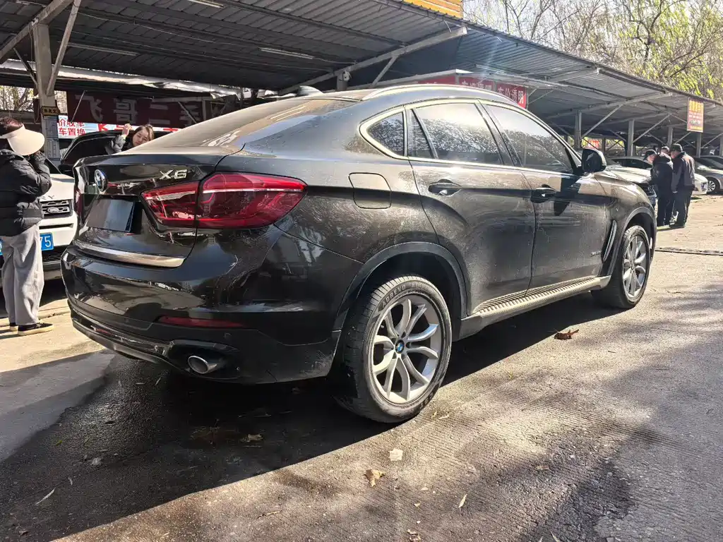 BMW X6