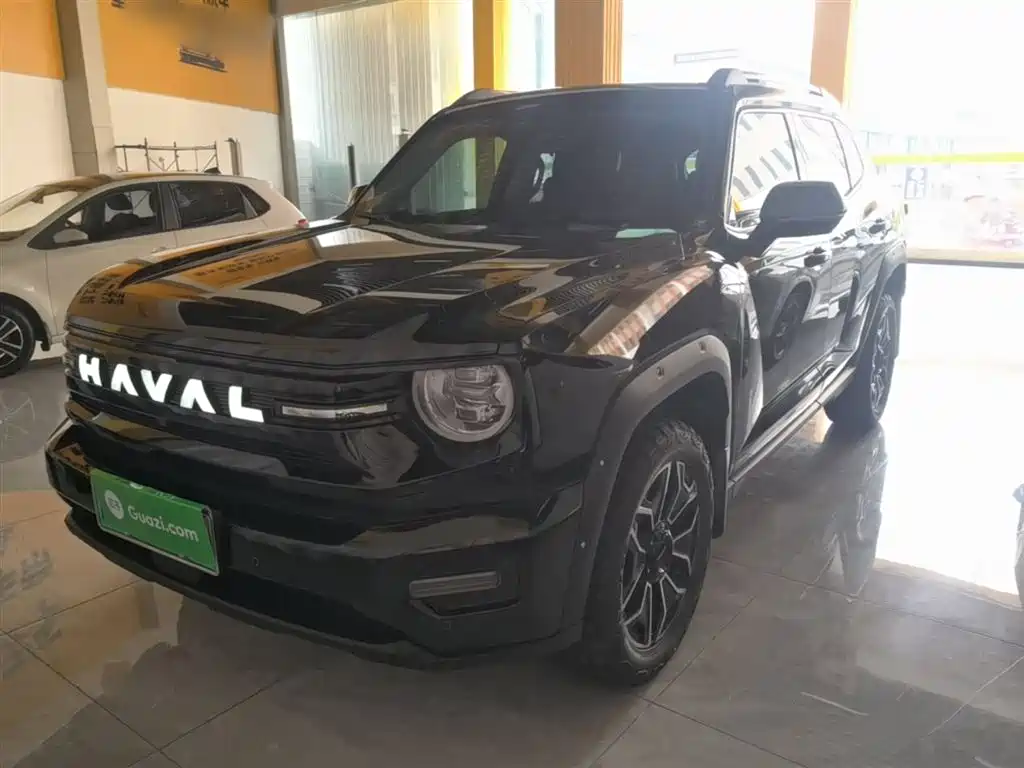 Haval 哈弗大狗 PLUS 新能源 2025