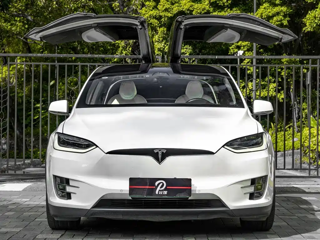 Tesla Model X — миниатюра 2