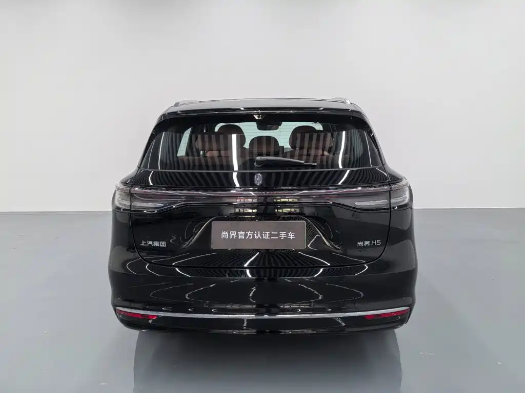 Сангтан Sangtang H5 — миниатюра 5