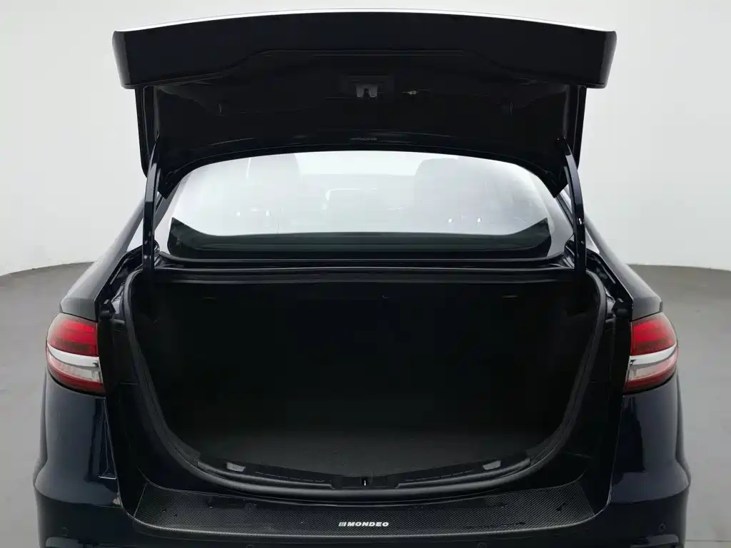 Ford Mondeo — миниатюра 16