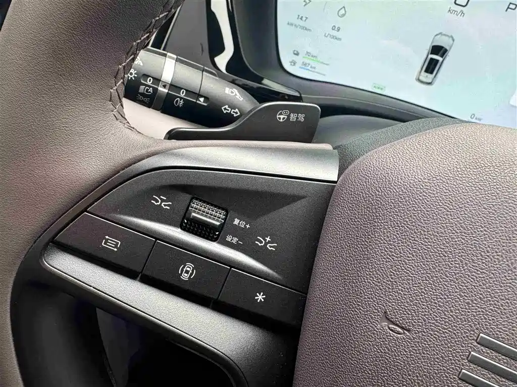 BYD SONGJIANG NEW ENERGY