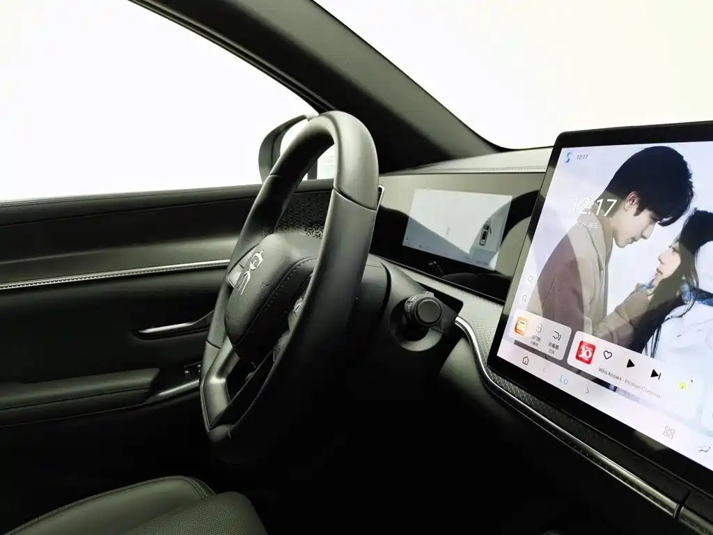 BYD Pro New Energy — миниатюра 22
