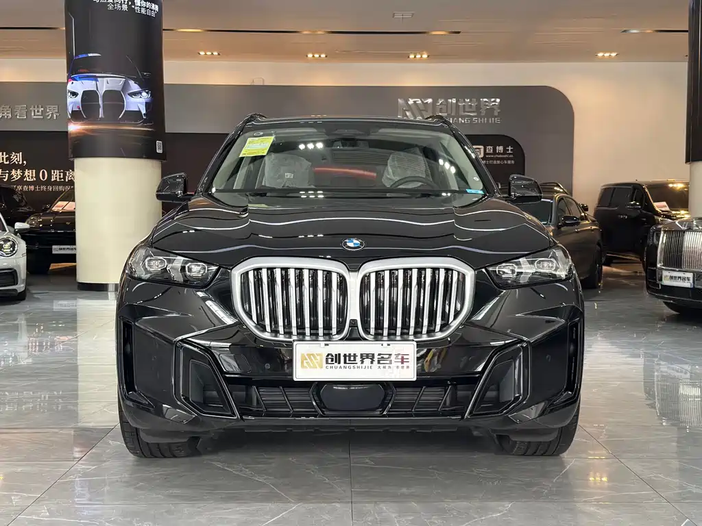 BMW X5 — миниатюра 2