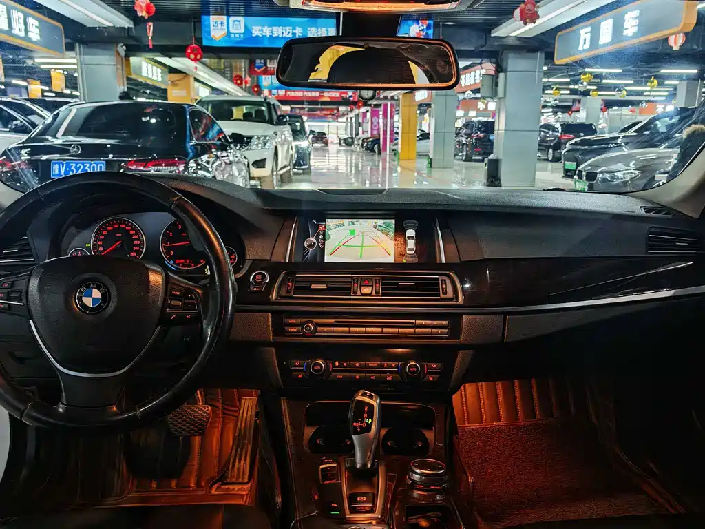 BMW 5 Series 5 2014 528Li Lead