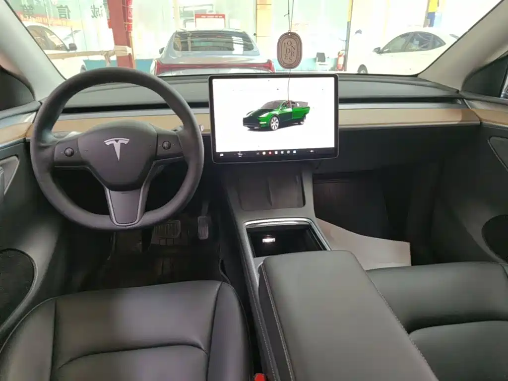 Tesla Model Y — миниатюра 10