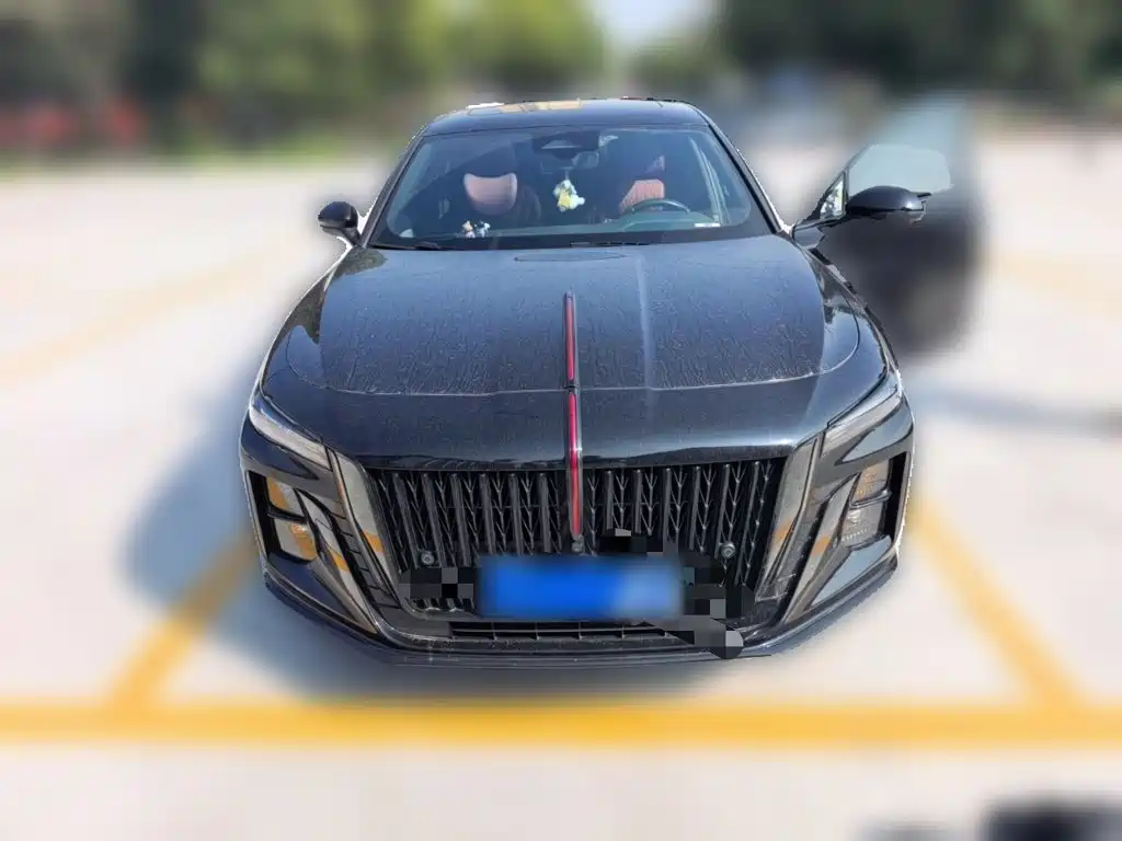 Hongqi Hongqi H5 — миниатюра 2