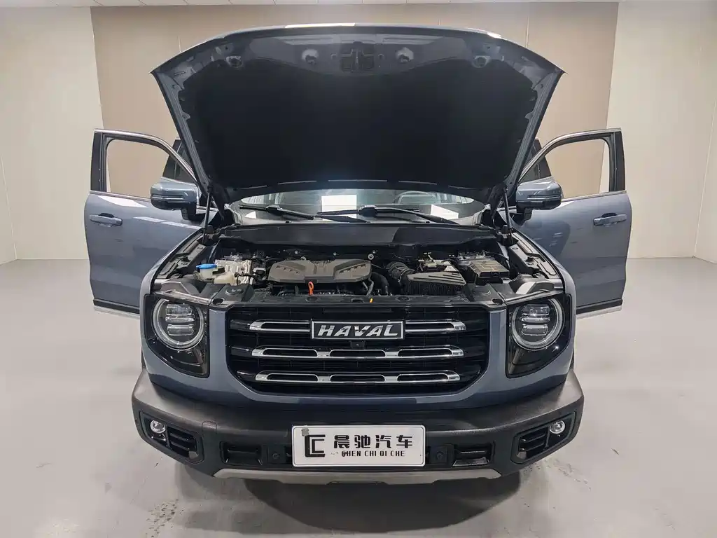 Haval Big Dog — миниатюра 16