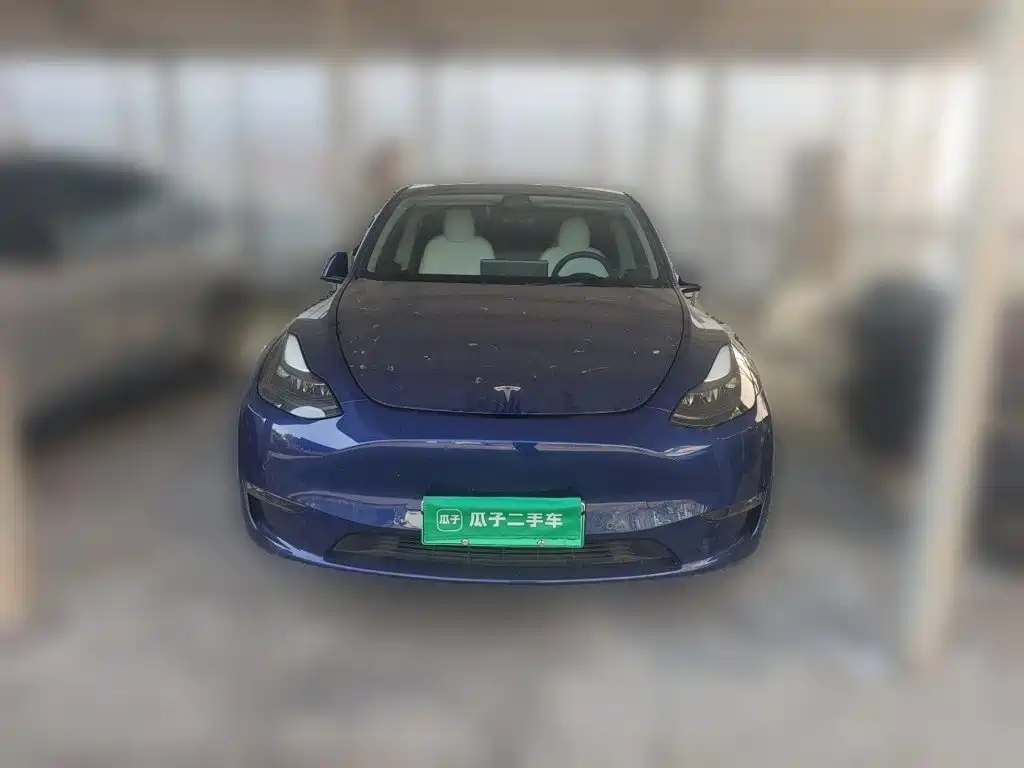 Tesla Model Y — миниатюра 2